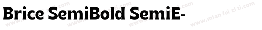 Brice SemiBold SemiE字体转换